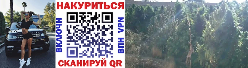Какие есть наркотики Касли Кокаин  МАРИХУАНА  Alpha-PVP  Гашиш  Меф 