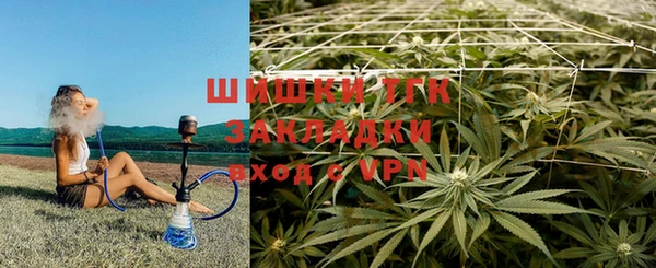 спайс Гвардейск
