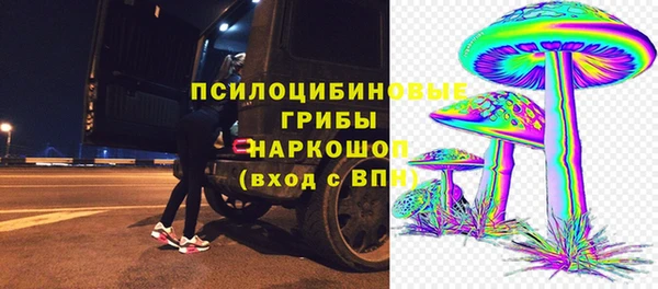 a pvp Осинники