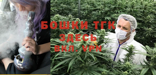 PSILOCYBIN Нязепетровск