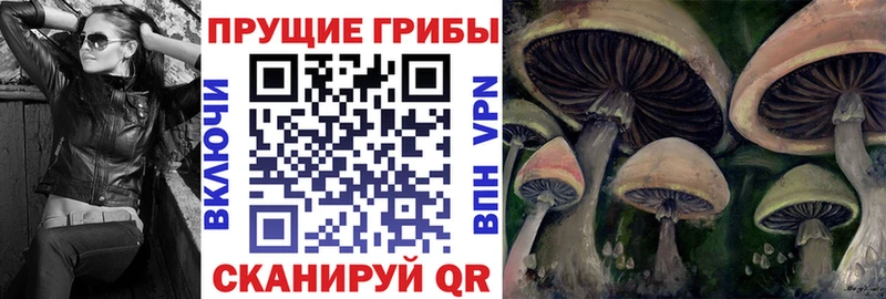наркотики  Касли  Псилоцибиновые грибы мицелий 