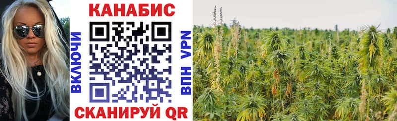 как найти закладки  mega   Конопля конопля  Касли 
